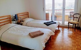 Alpine Apartment